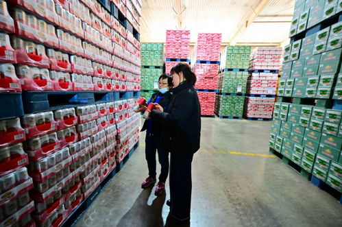 餐桌上的食品安全無小事,走進沈陽綠色工廠,探訪神秘生產線