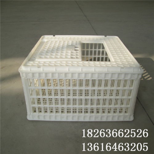 【塑料雞籠圖片和價格運輸雞筐批發(fā)】-